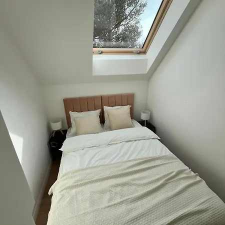 Horyzont 博尔斯克